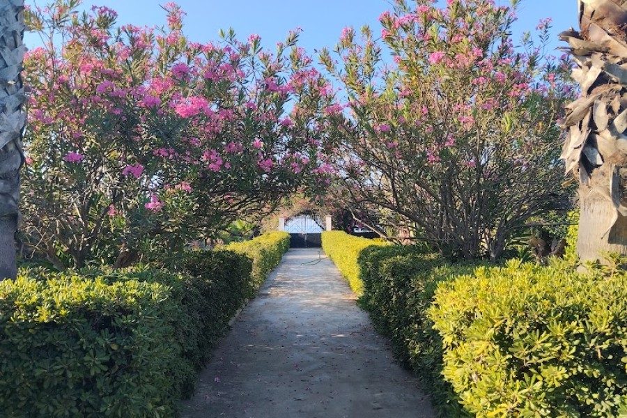 Villa alle Granelle 10 posti fronte mare
